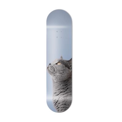 Skate Board original, décoration murale, Chat bristish shortair