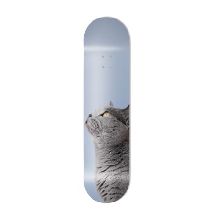 Skate Board original, décoration murale, Chat bristish shortair