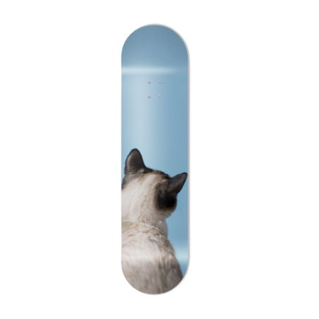 Skate Board original, décoration murale, Chat siamois