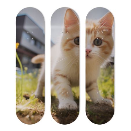 Déco Skate Board, Art, Chaton Mignon