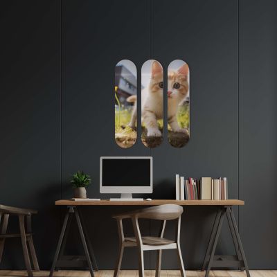 Déco Skate Board, Art, Chaton Mignon
