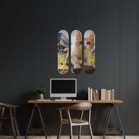 Déco Skate Board, Art, Chaton Mignon