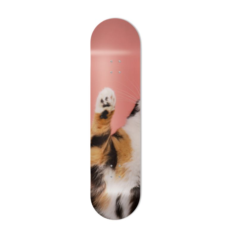 Skate Board pour décoration murale originale, Chaton joueur Skate Board pour décoration murale originale, Chaton joueur
