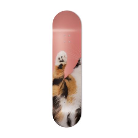 Skate Board pour décoration murale originale, Chaton calico