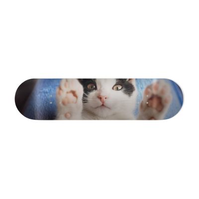 Skate Board pour décoration murale originale, Chaton joueur