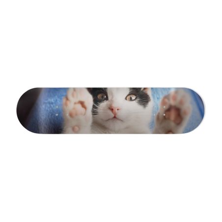 Skate Board pour décoration murale originale, Chaton joueur