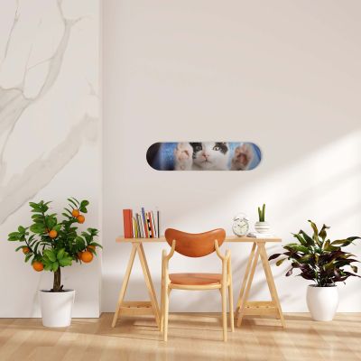 Skate Board pour décoration murale originale, Chaton joueur