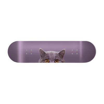 Déco Skate Board, Chat curieux