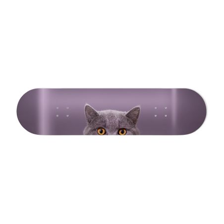 Déco Skate Board, Chat curieux
