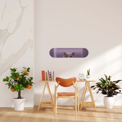 Déco Skate Board, Chat curieux