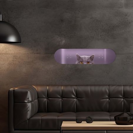Déco Skate Board, Chat curieux
