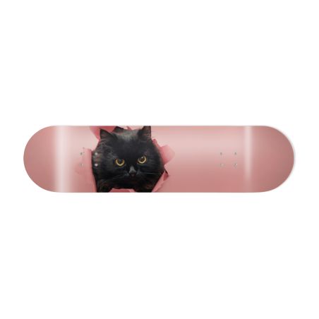Déco Skate Board, Art, Chaton Mignon