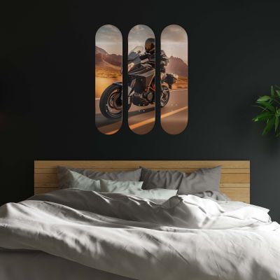 Planches Skate Board de décoration, Moto adventures