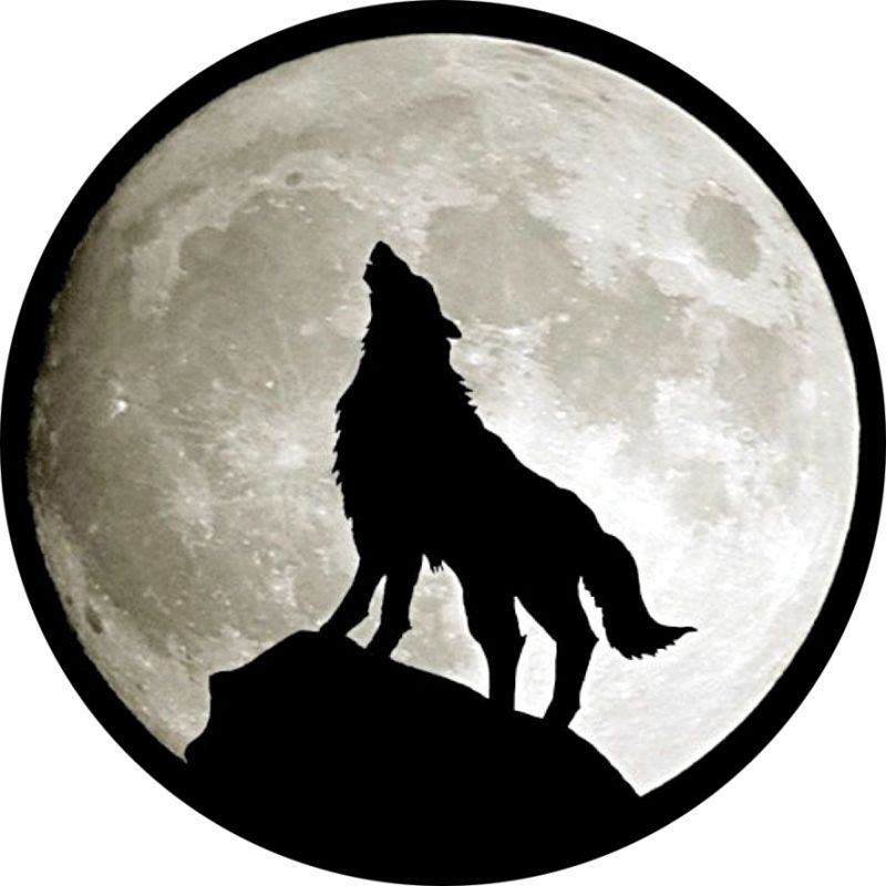 Stickers rétro réfléchissant loup