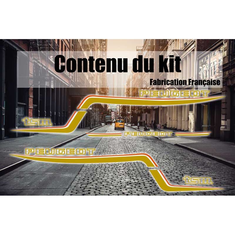 Kit pour mobylette Peugeot TSM R, pour restauration ou loisirs